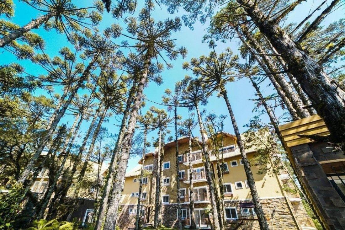 103/3 Apto Com Piscina Aquecida Gramado Dış mekan fotoğraf